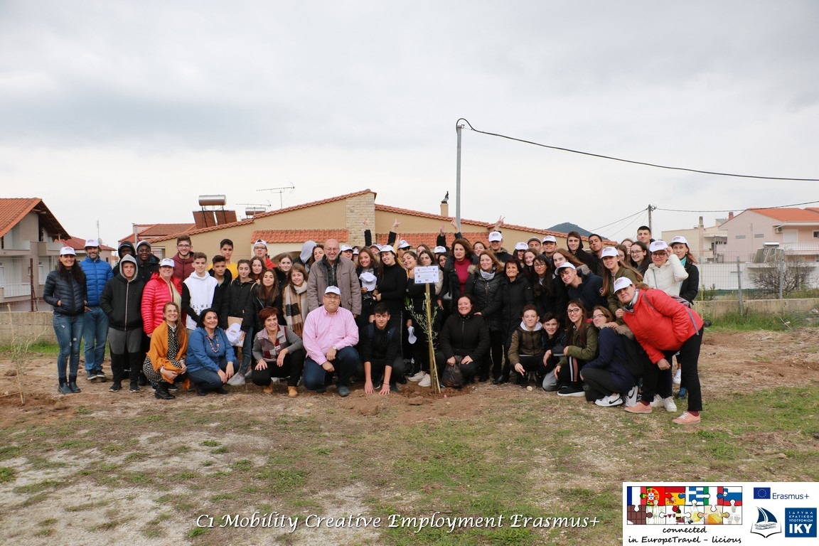 olive tree fiendship park